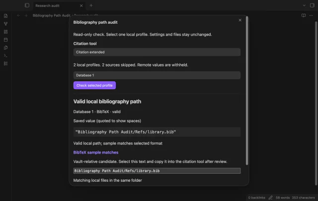 The audit lists local profiles and counts skipped remote sources.