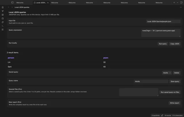 The Adults named query restores its expression and shows two matching people in the result table.